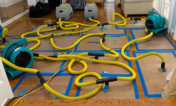 Professional Structural Drying And Dehumidification technician working in Pond Gap, WV