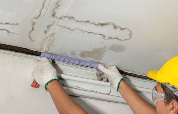 Affordable Water Damage Repair solutions in Pond Gap, WV